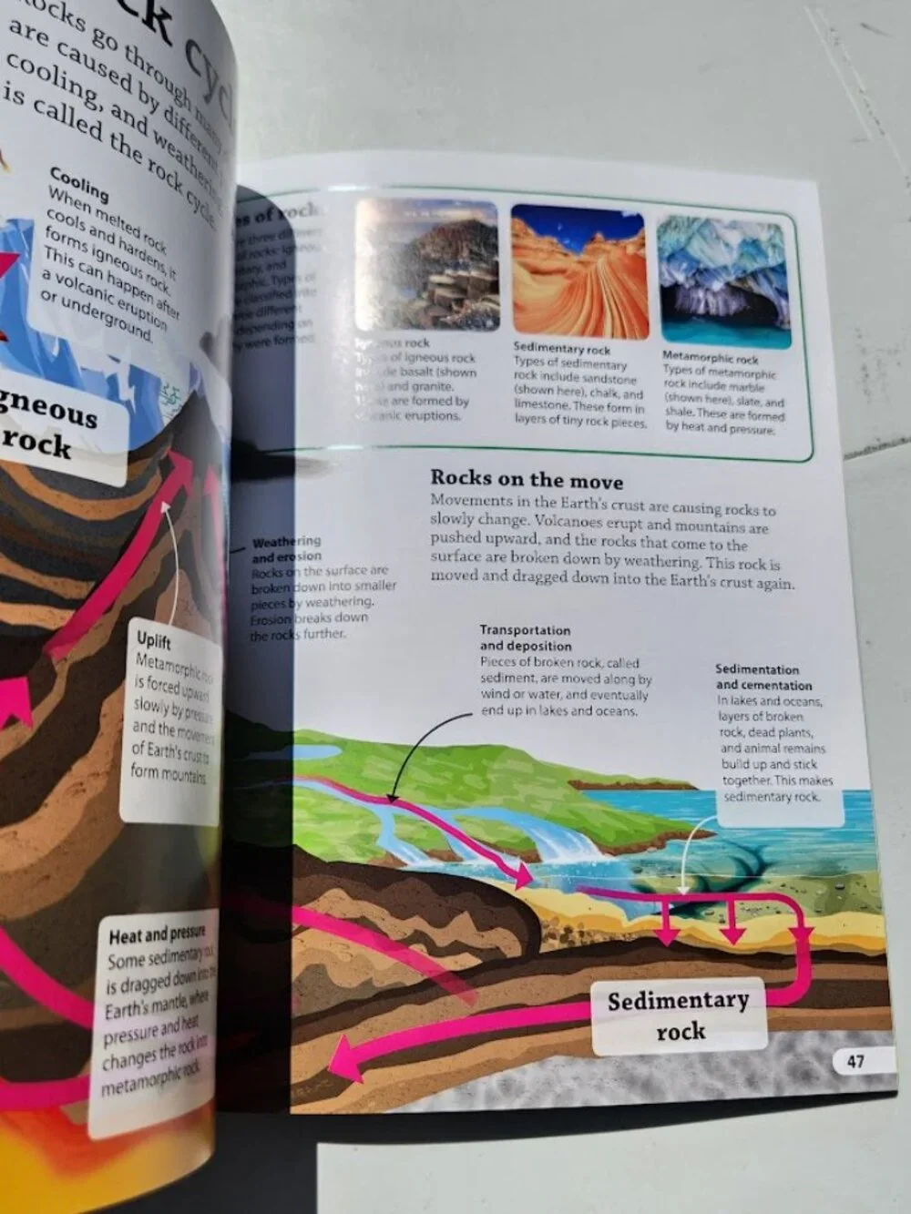 NEW DK Findout! Earth Life Sciences Book Science Paperback BookShark Science C S